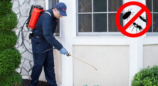Samandağ Böcek ve Haşere İlaçlama böcek ilaçlama ve haşere kontrolü — ilaclama-tr.com